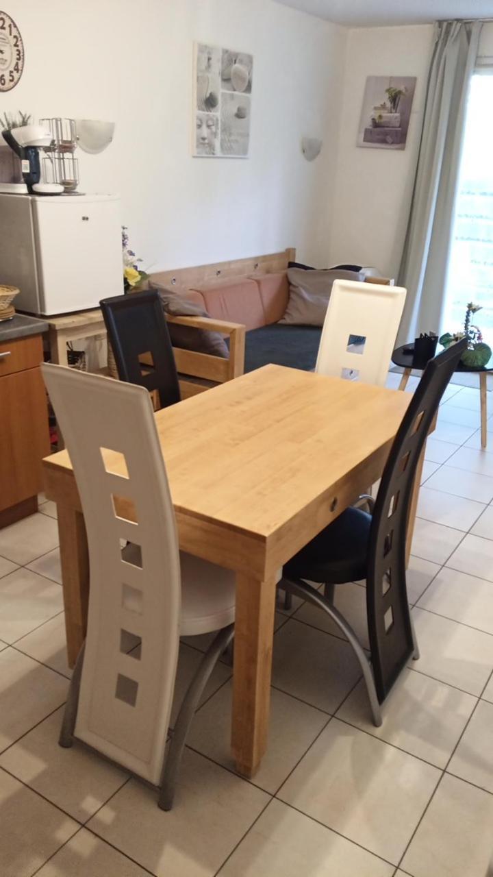 Aparthotel Le Roi du Sundgau près de la Horse - Mooslargue Esterno foto