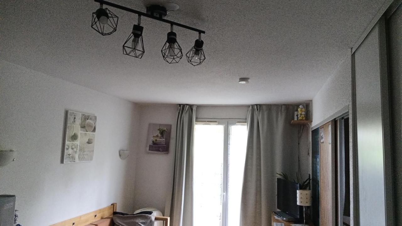 Aparthotel Le Roi du Sundgau près de la Horse - Mooslargue Esterno foto